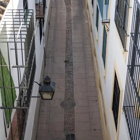 Atico Premium Con Terraza - Arcos De Medina 301