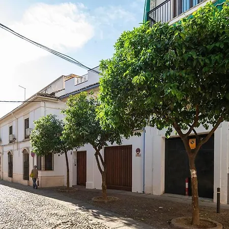 Atico Premium Con Terraza - Arcos De Medina 301 Apartment *