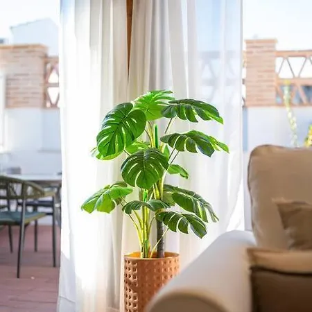 Atico Premium Con Terraza - Arcos De Medina 301
