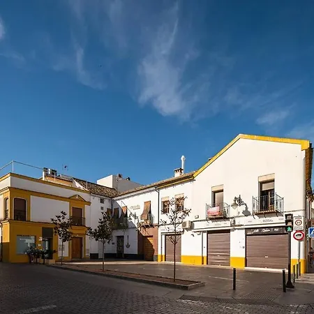 Apartment Atico Premium Con Terraza - Arcos De Medina 301 *