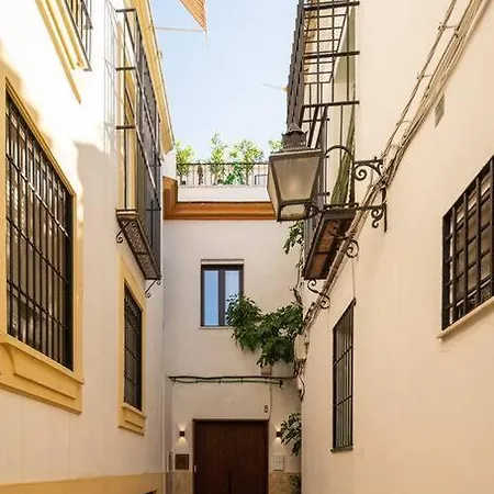Atico Premium Con Terraza - Arcos De Medina 301