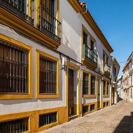 Apartment Atico Premium Con Terraza - Arcos De Medina 301 *